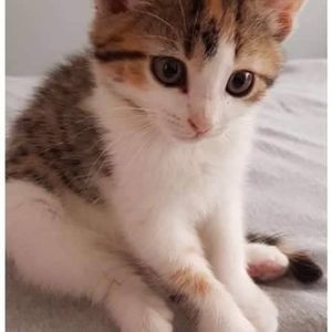 Meet your Posher, Gwenn